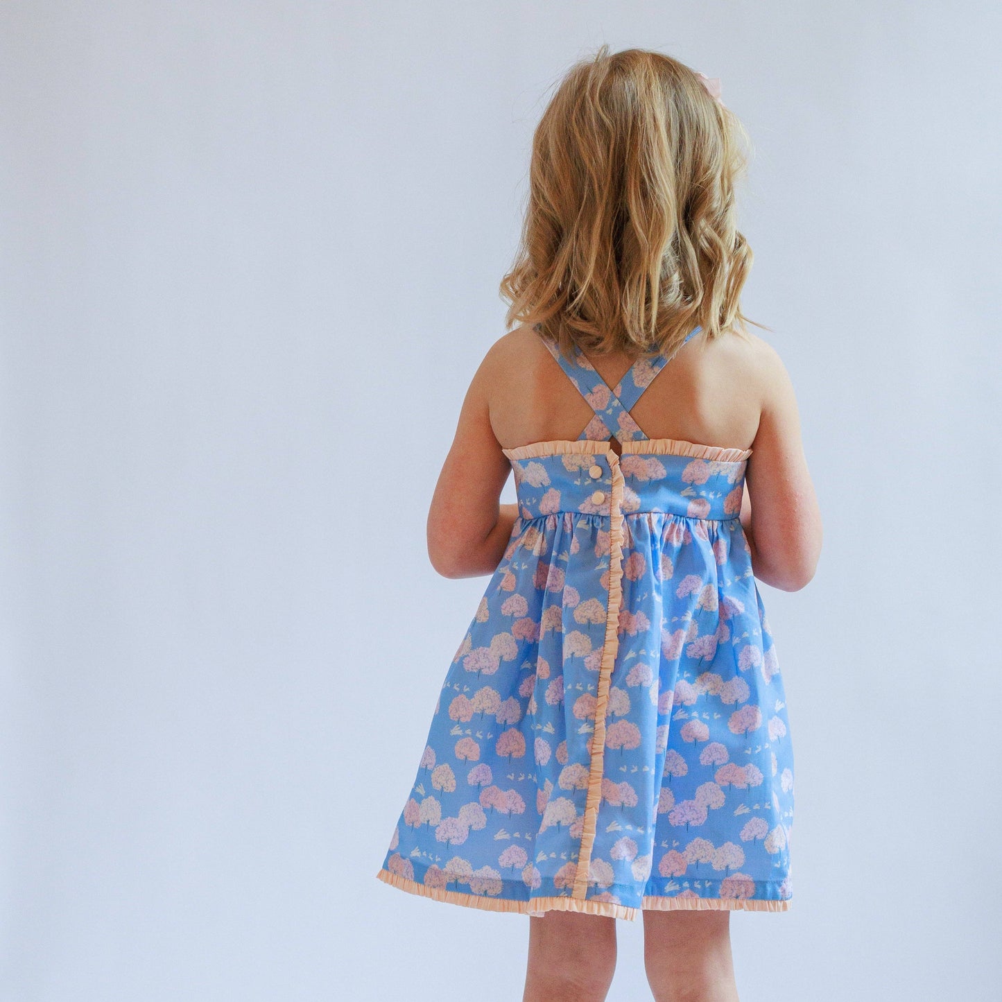 Haille Dress - Central Park