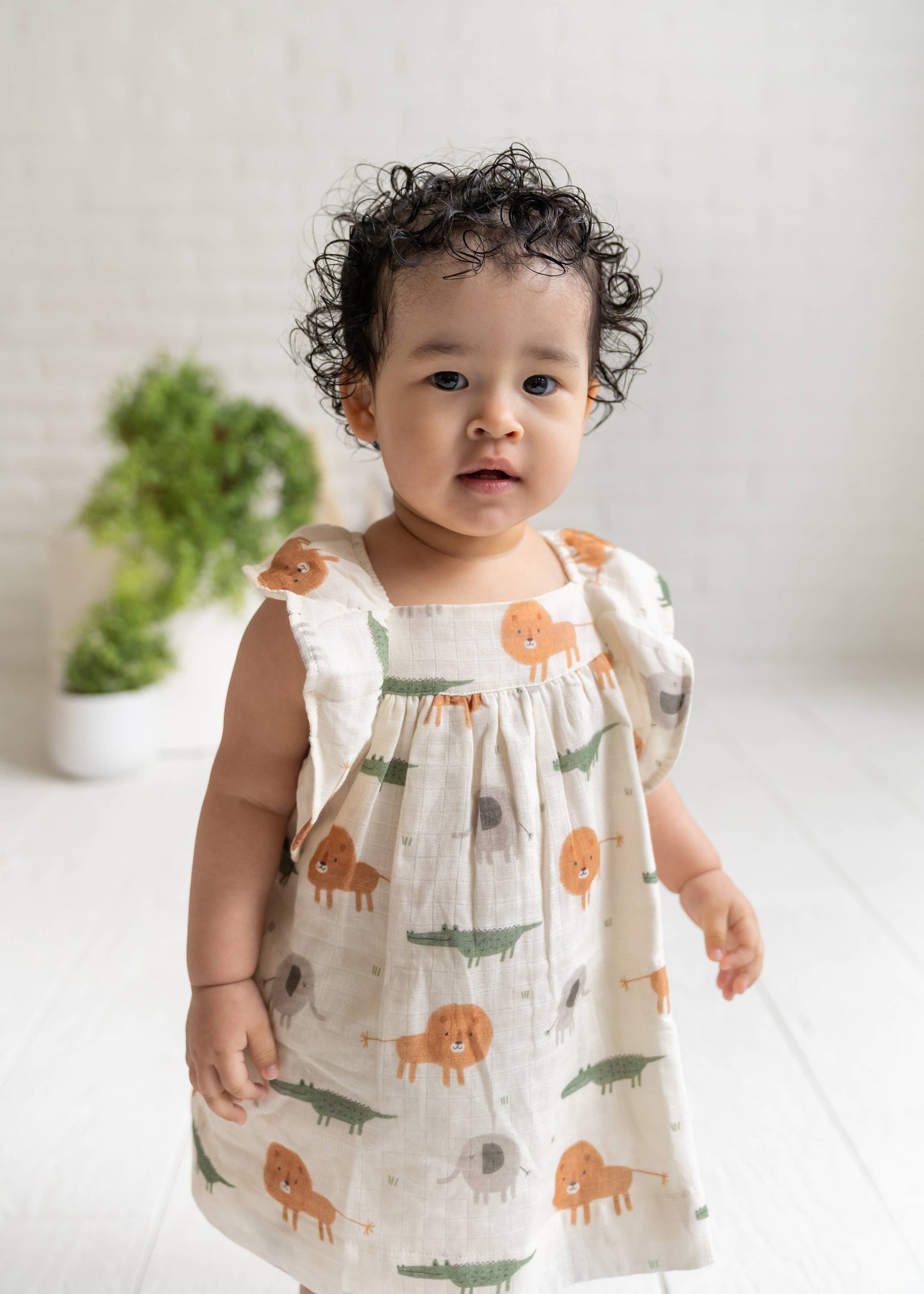 Savannah Flutter & Smocked Baby Dress (Organic Muslin)