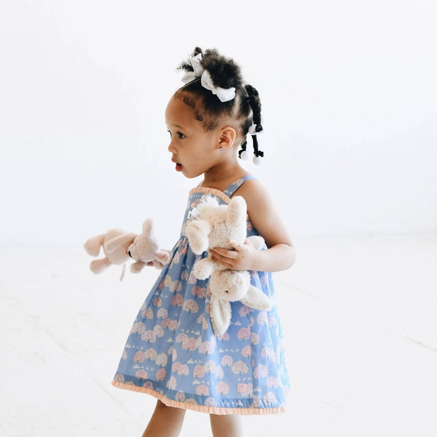 Haille Dress - Central Park